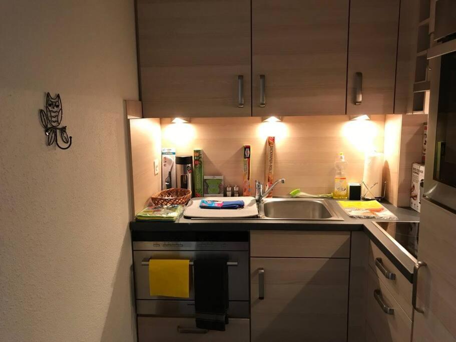 Beautiful 2.5 Room Apartment In Lucerne Extérieur photo